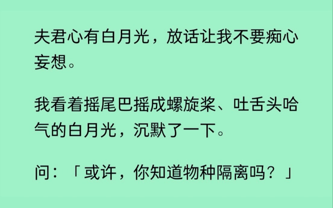 夫君心有白月光,让我别妄想,可我看着夫君那摇尾巴、吐舌头的白月光,陷入了深深的沉默......哔哩哔哩bilibili