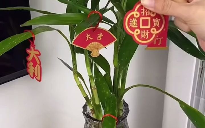 新年福字拉花虎年元旦幼儿园教室装饰挂件吊饰店铺商场布置用品哔哩哔哩bilibili