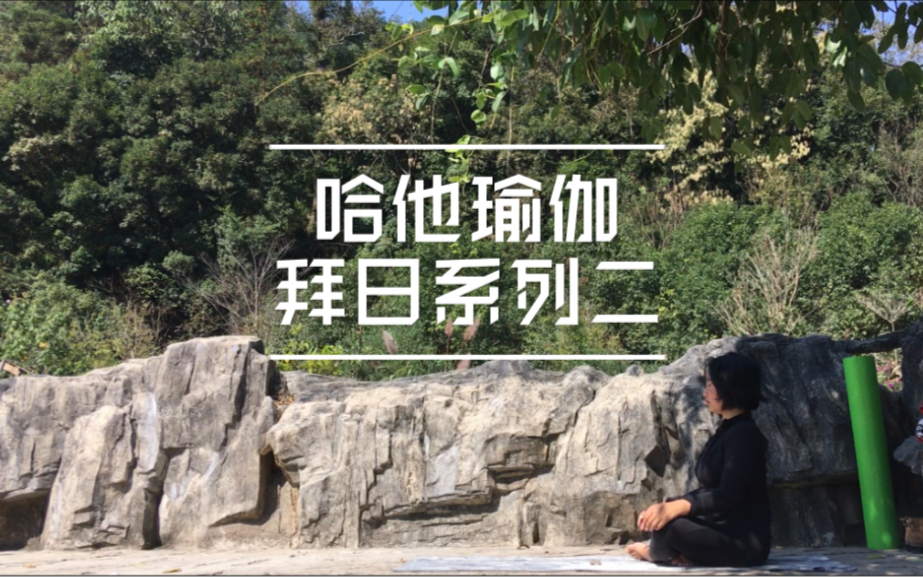 完整瑜伽普拉提课哈他瑜伽拜日系列2综合训练拉伸肌肉塑形