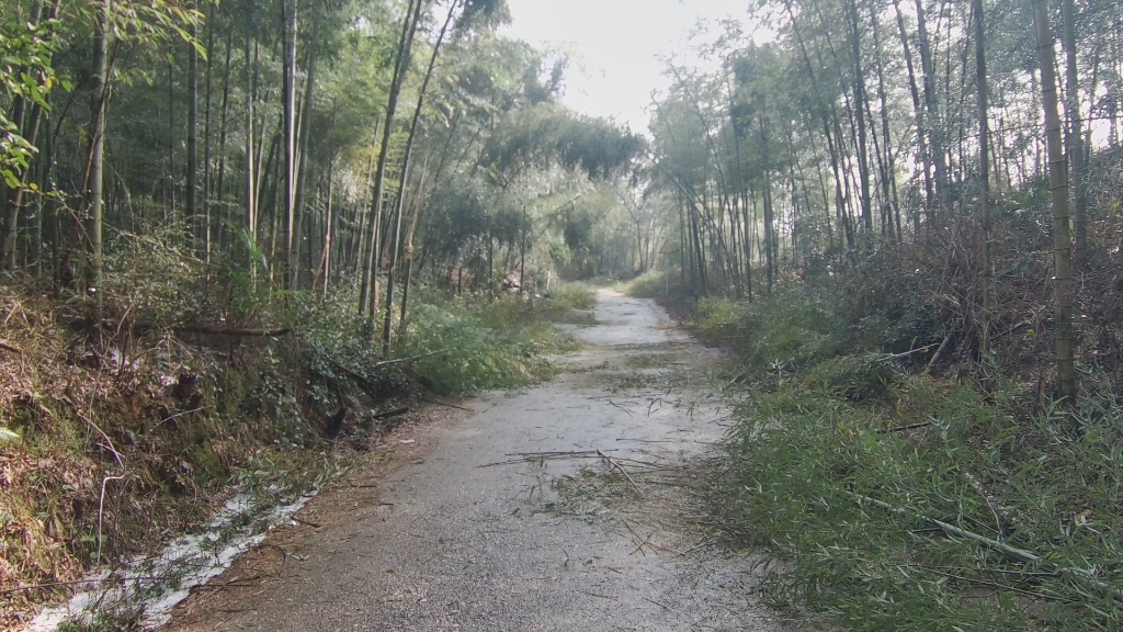 上高县蒙山冻雨,南港镇脑子上村下到309省道回蒙山小步哔哩哔哩bilibili