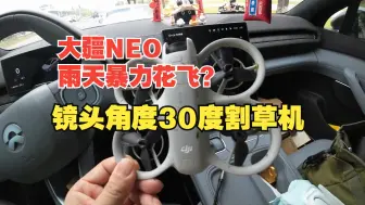 Download Video: 大疆neo雨天暴力飞行，试试30度镜头角度的花飞~化身割草机