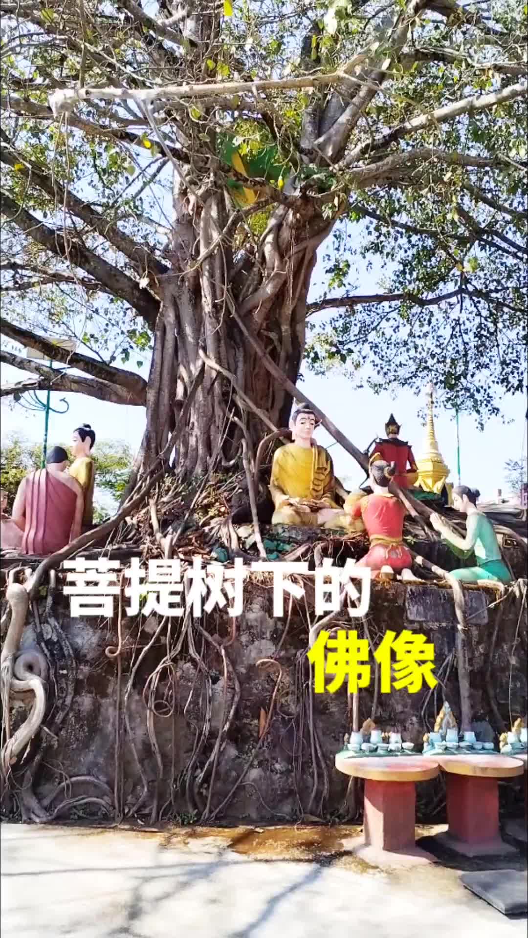 云南瑞丽市傣族寺院风采哔哩哔哩bilibili