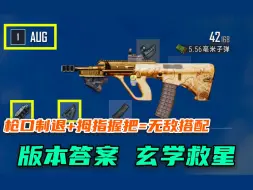 Télécharger la video: 【PUBG】枪口制退+拇指= AUG救星，现版本最强搭配，修正迷之抖动，量身定制，用过都说好