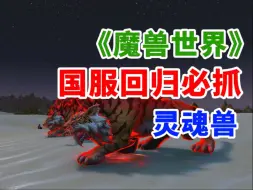 Download Video: 《魔兽世界》国服回归后必抓的灵魂兽——苏尔拉卡！