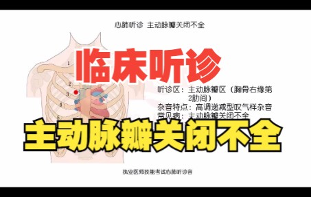 主动脉关闭不全的杂音特点是......哔哩哔哩bilibili