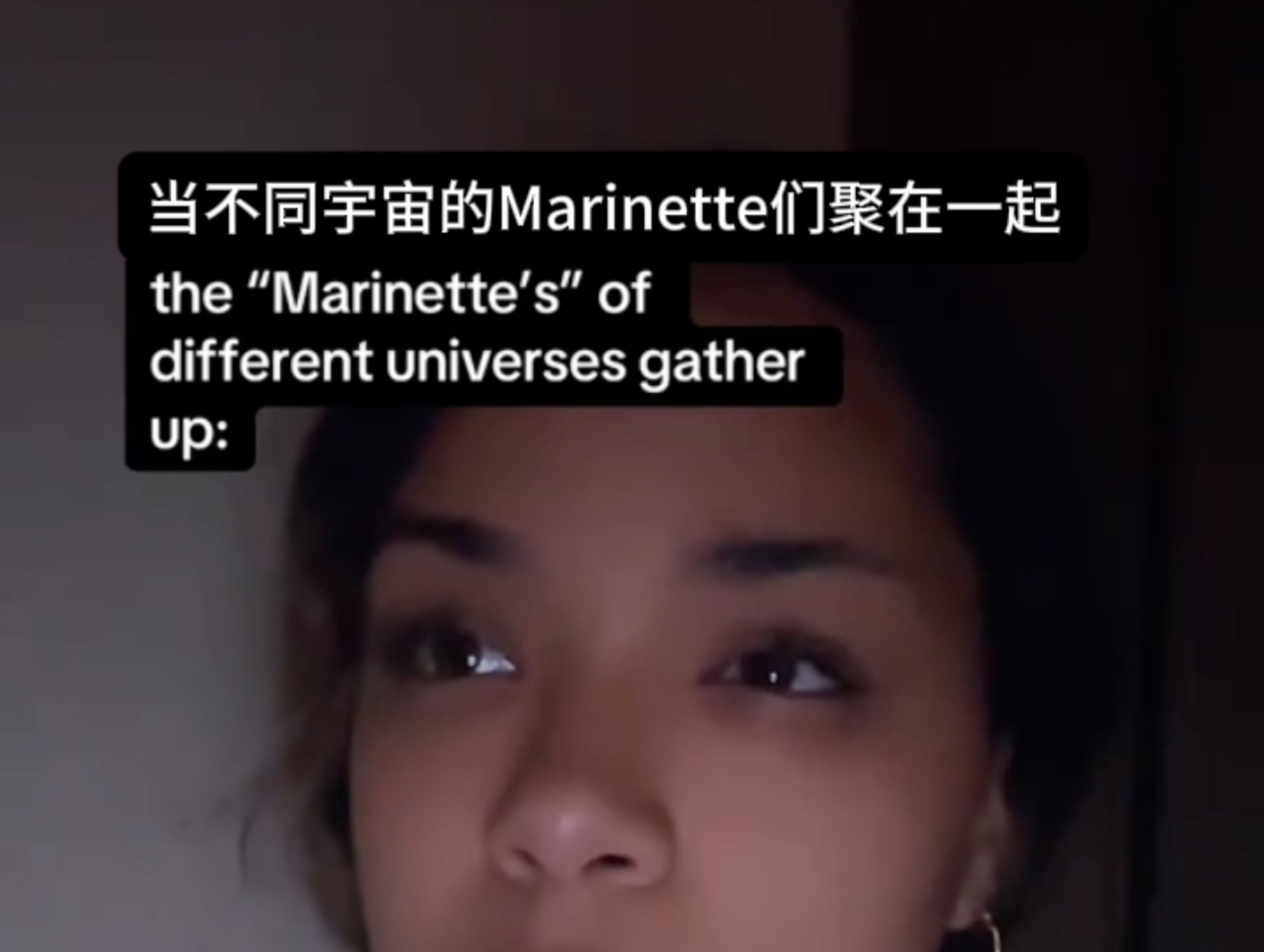 【瓢虫雷迪】当不同宇宙的Marinette们聚在一起哔哩哔哩bilibili