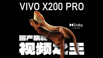 Download Video: vivo X200 Pro: 国产旗舰 视频之王