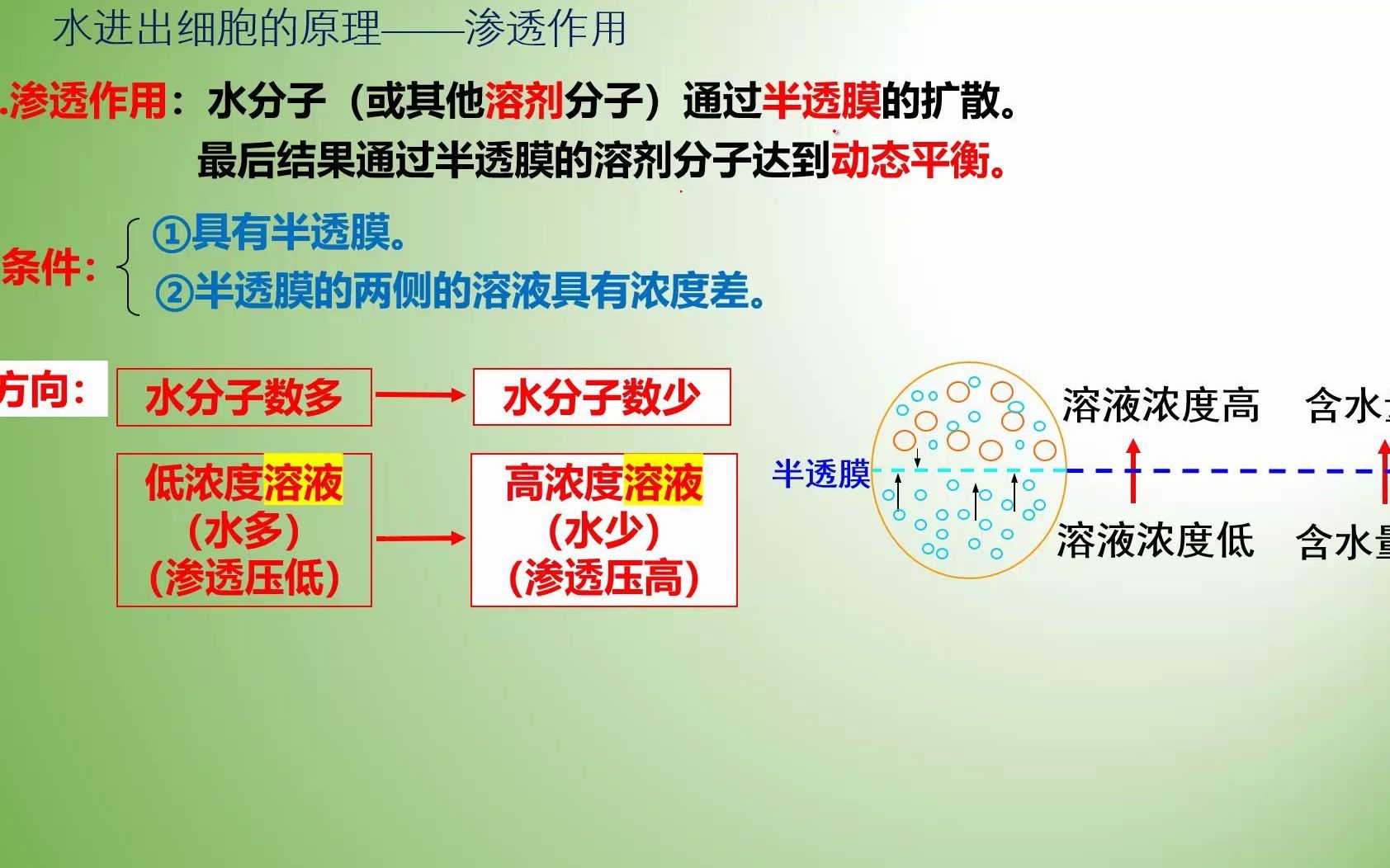 被动运输渗透作用:水分进出细胞原理哔哩哔哩bilibili