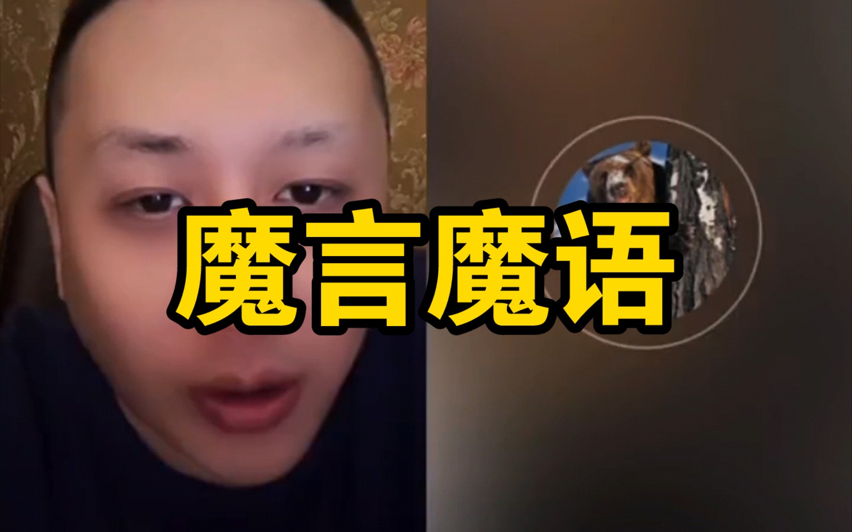 【小圈】哈尔滨才子深情连麦大狗熊哔哩哔哩bilibili