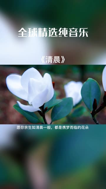 盘点班得瑞十大经典音乐,唯美又安静,一听就停不下来哔哩哔哩bilibili