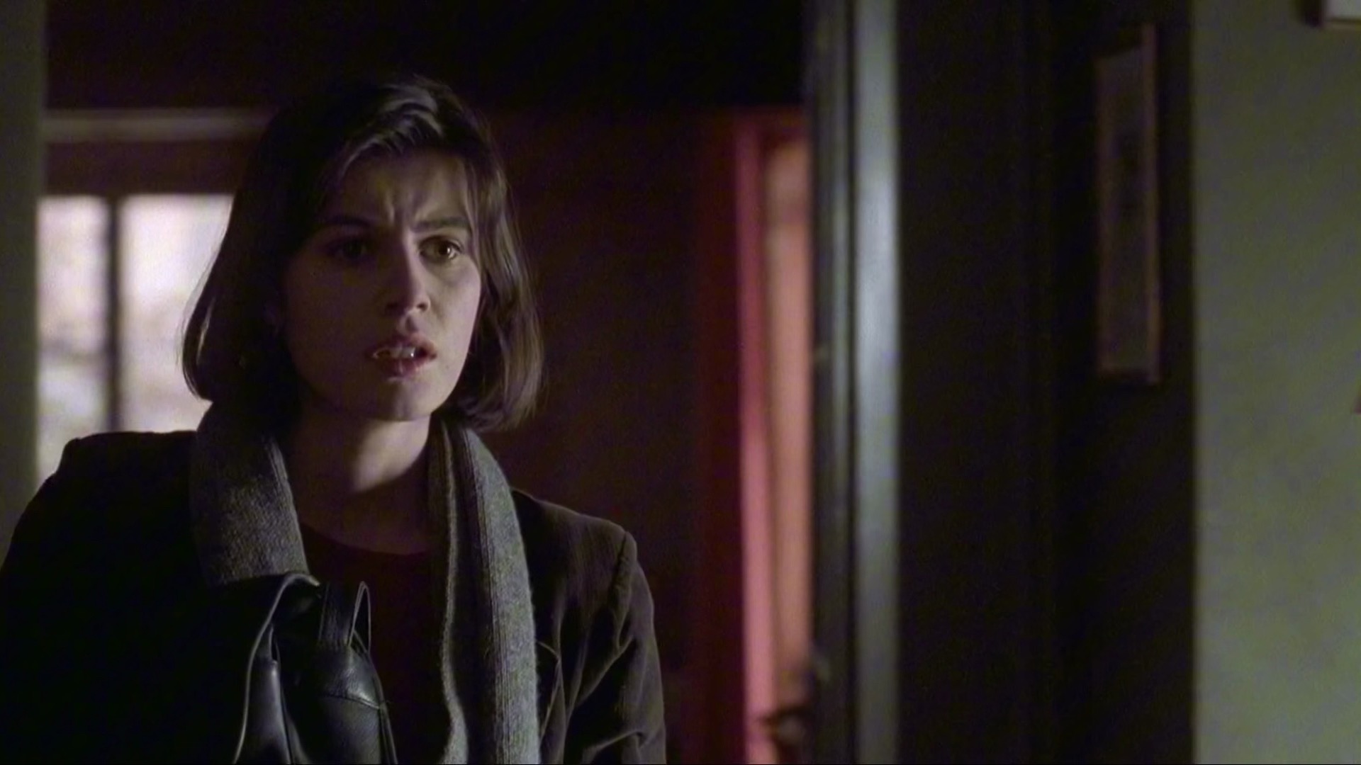 蓝白红三部曲之红 5