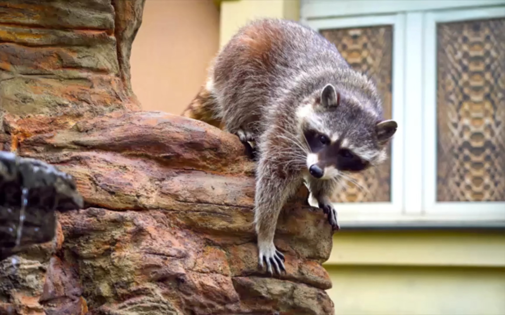 莫斯科动物园之春 2024