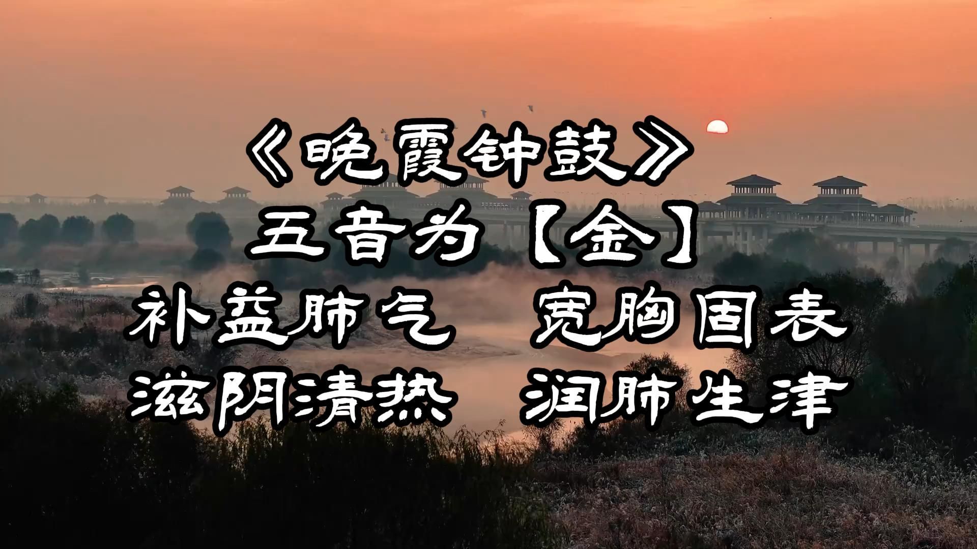 【五行音乐金】《晚霞钟鼓》 补益肺气 、宽胸固表、滋阴清热、润肺生津.在音为商,在志为忧.调试为阳.自习,纯音乐治愈性,集中注意力,考研备战...