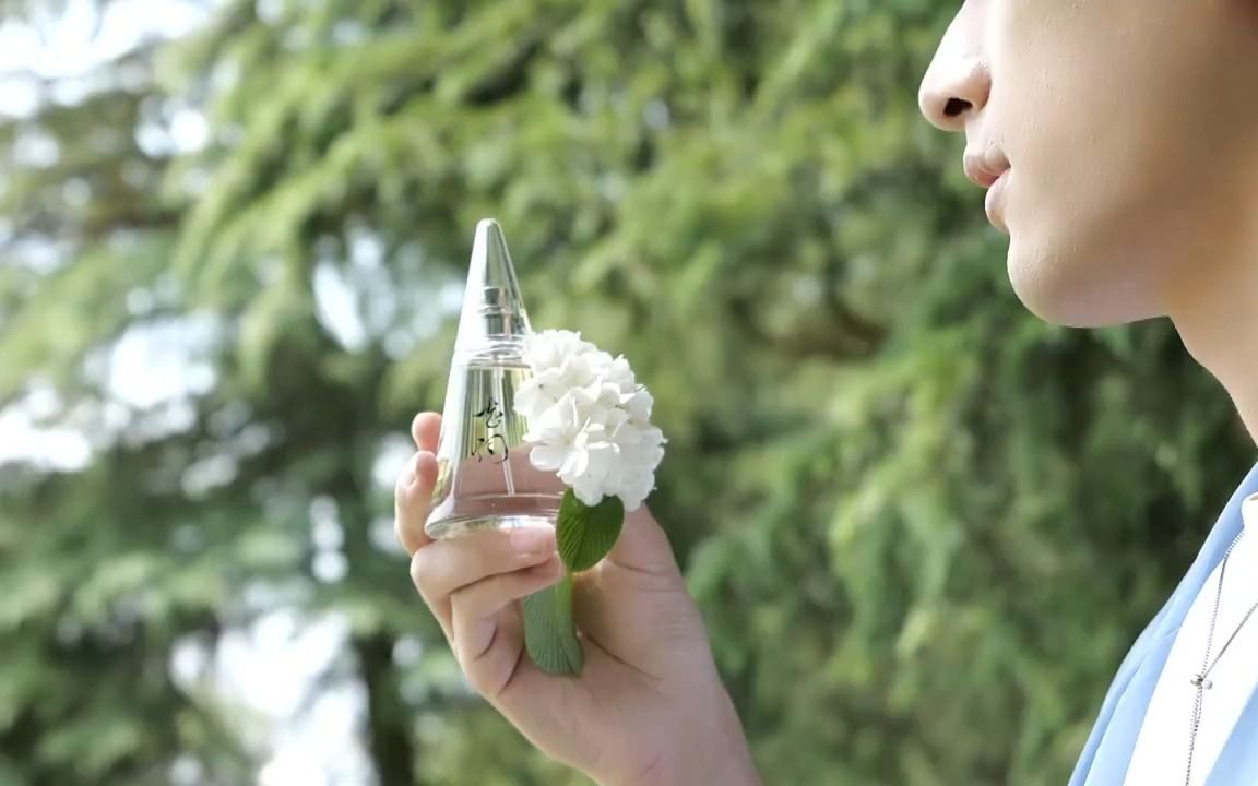 [图]梦回七月盛夏 一抹栀子花香