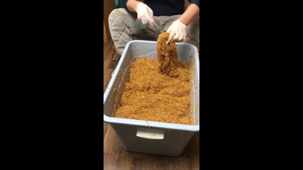 南雄烟丝黄金叶口粮烟丝发酵熟手卷烟丝,自己动手丰衣足食 口感醇香