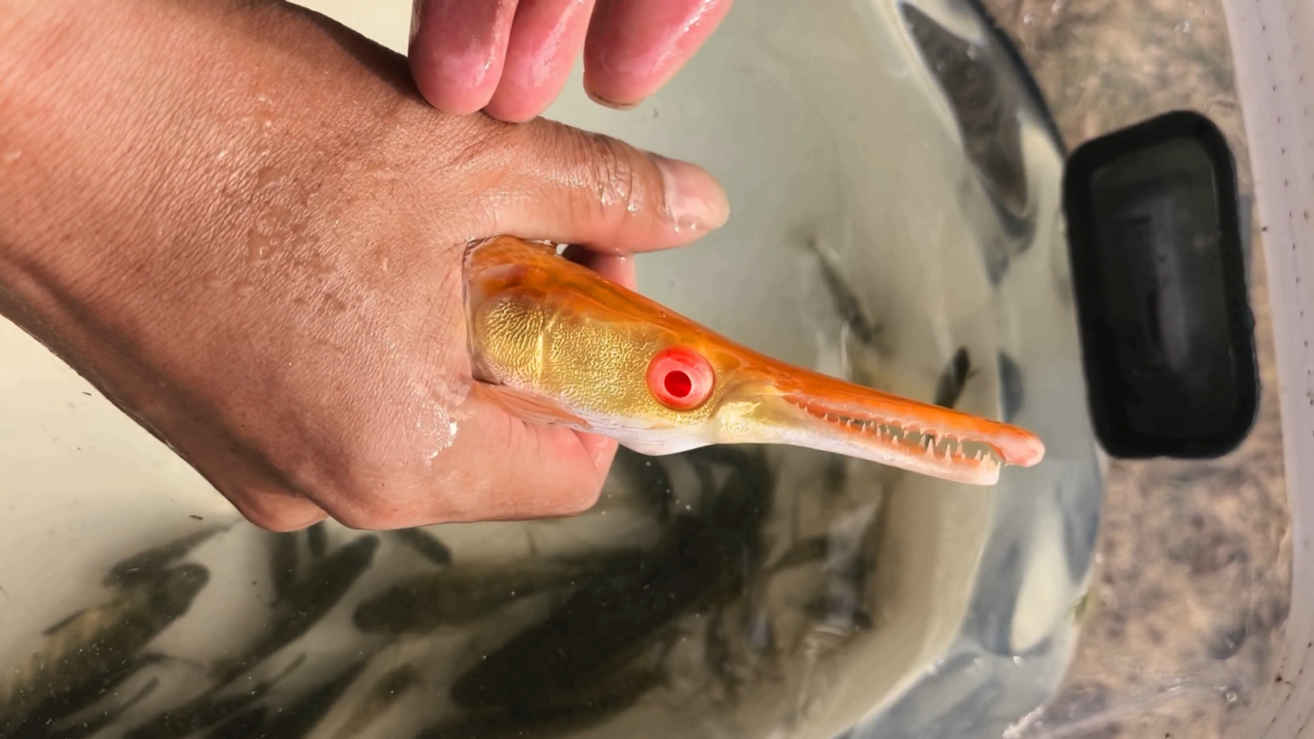 下一个赶到圆凳滑行赛决赛现场的是-凡骨者的意地-默认收藏夹-哔哩哔哩视频