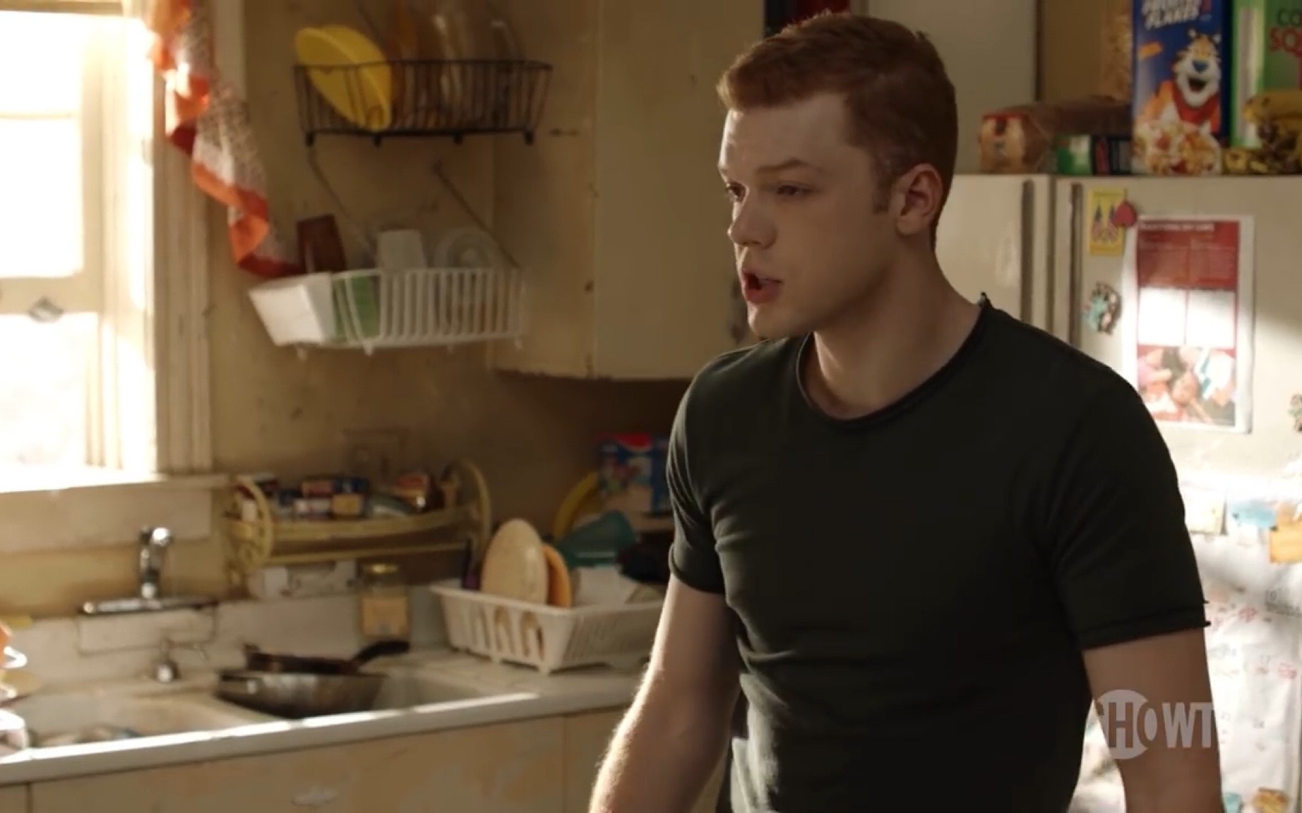 无耻家庭第九季