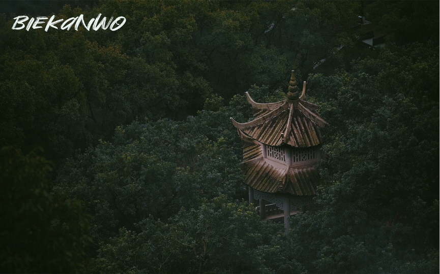 [图]1小时雨声+寺庙钟声+鸟叫声+水流声｜深山里的寺庙氛围环境音｜减压系列｜学习背景音 工作背景音｜STUDY WITH ME｜助眠、放松、学习