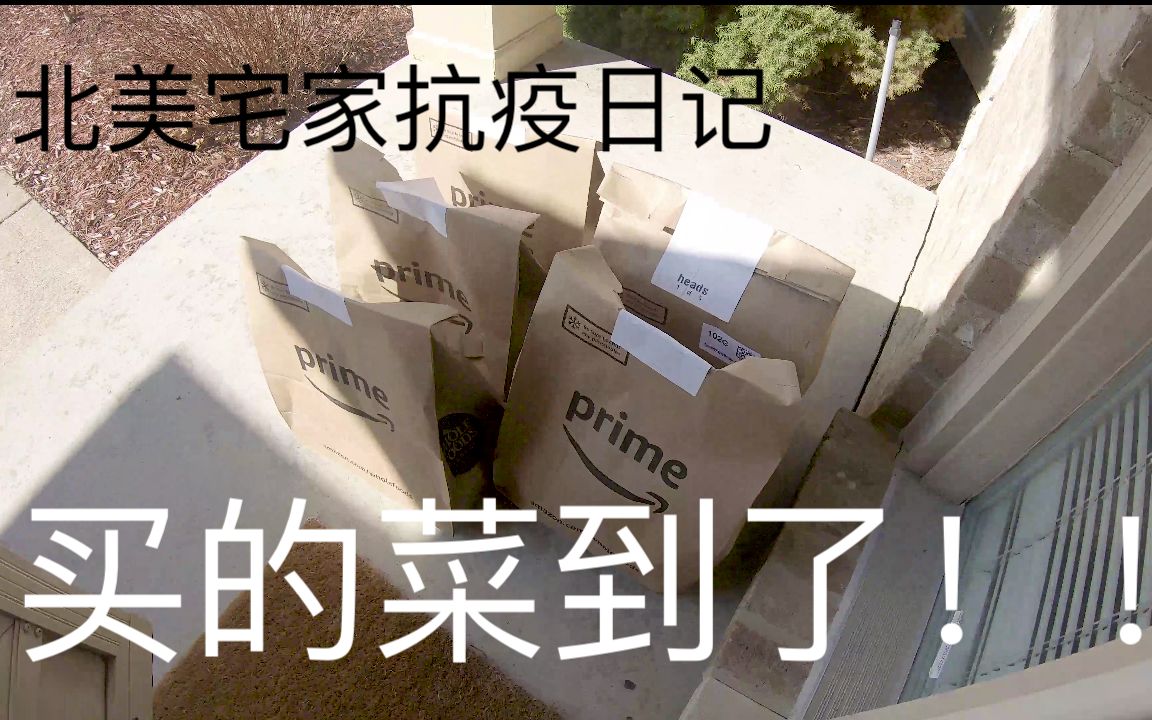 【宅家抗疫】网上买菜送货到家 我们怎么接收 | 北美宅家抗疫记录哔哩哔哩bilibili