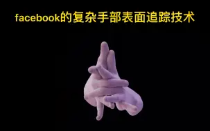 Download Video: facebook关于复杂手势的cg技术研究