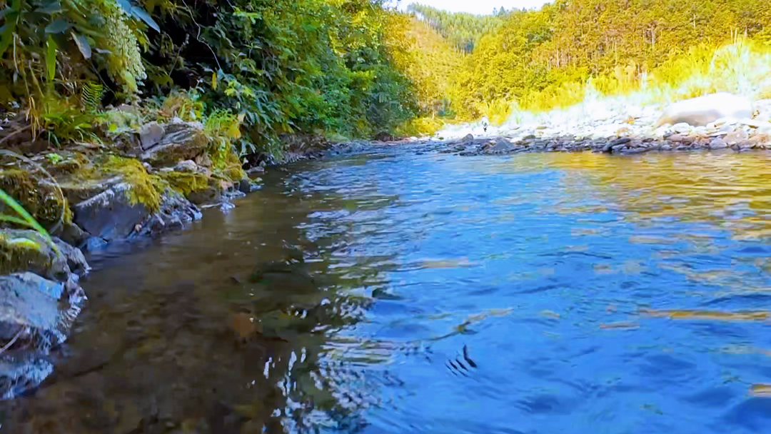 手机拍摄山间小溪风景