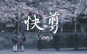 下载视频: 抖音最火Vlog快剪合集，节奏引起极度舒适～