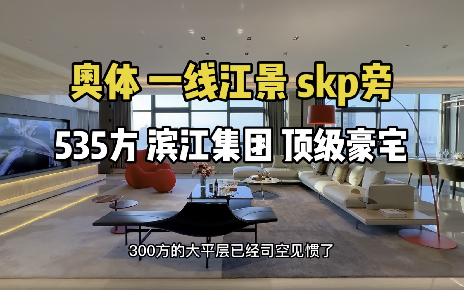 奥体一线江景535方顶级豪宅,滨江集团设计 skp旁哔哩哔哩bilibili