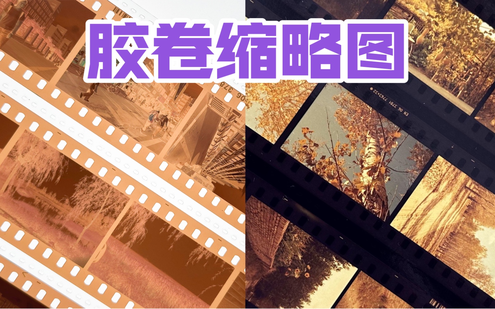 胶卷制作小样缩略图哔哩哔哩bilibili