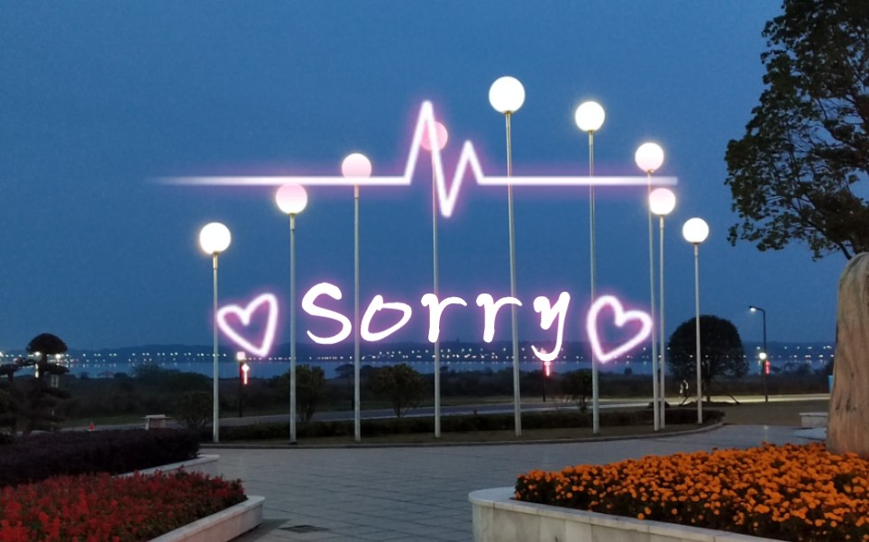 [图]“可不可以 别再say sorry Say sorry 真的爱我 就别再试探下去” 【B站翻唱】Sorry （Live）