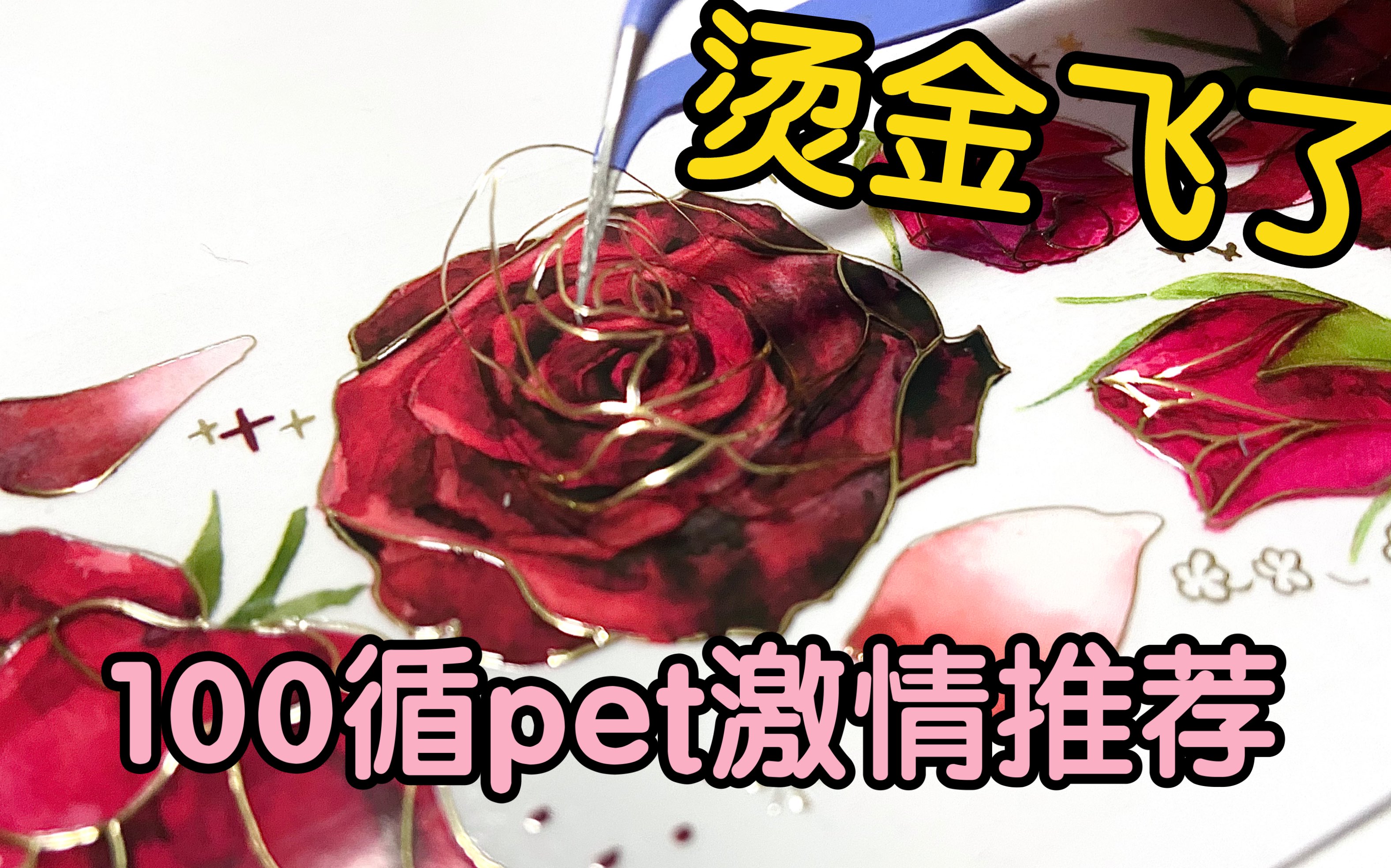 100循绝美pet推荐分享第2弹*真的绝美哔哩哔哩bilibili