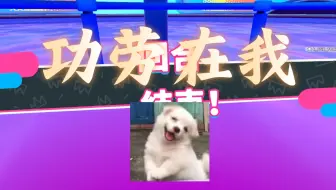 【糖】阿瓜开瓜