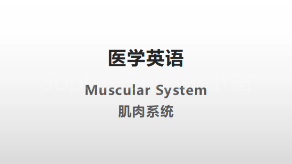 [医学英语]muscular system肌肉系统cut5哔哩哔哩bilibili