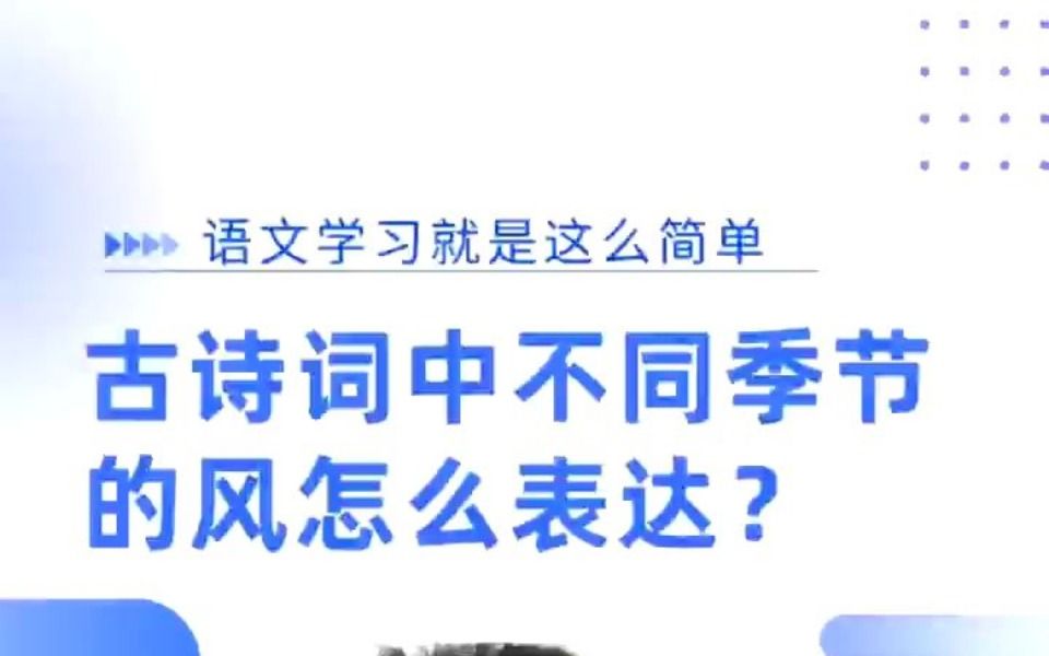 古诗词中不同季节的风怎么表达?哔哩哔哩bilibili