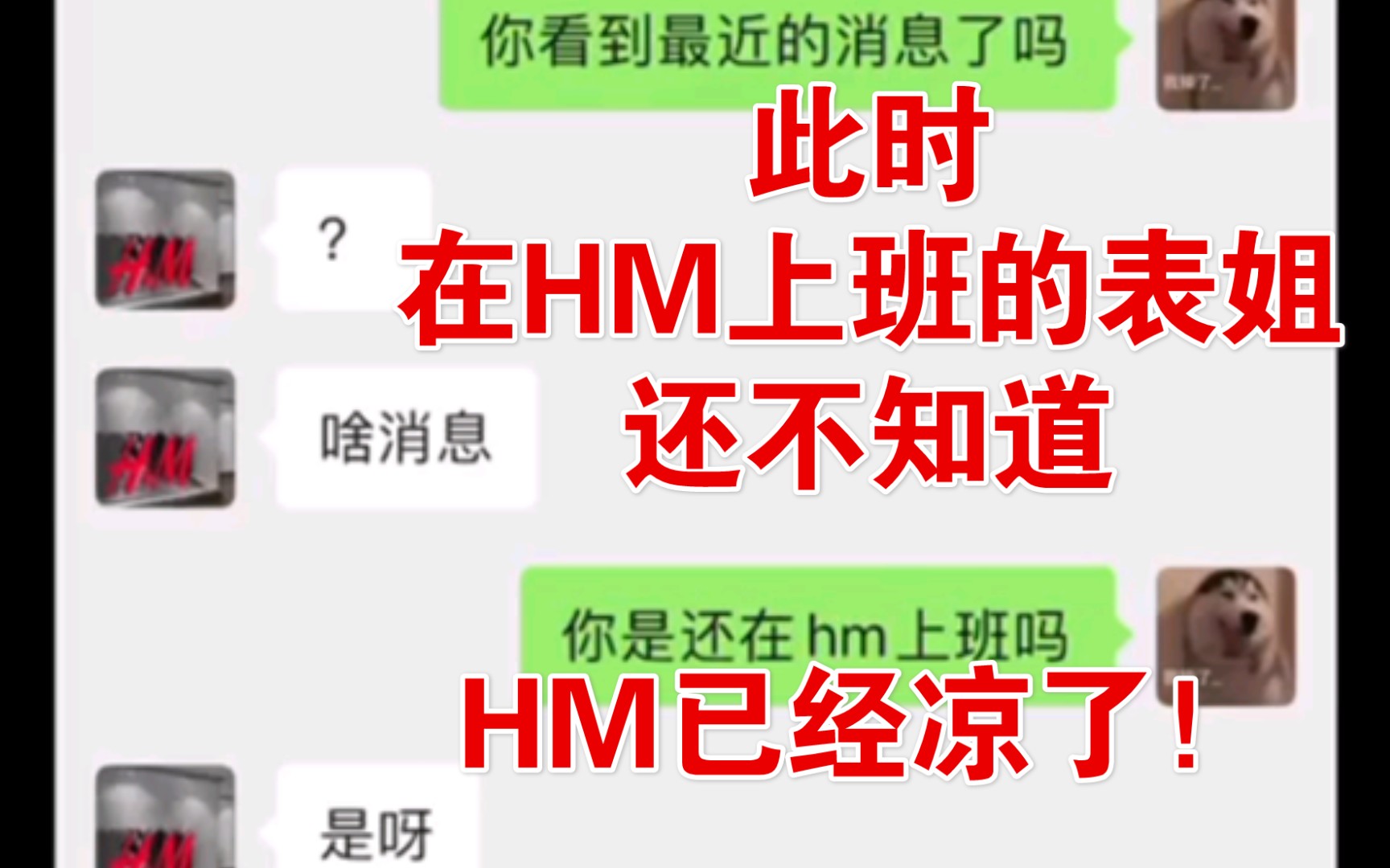 当告诉在hm上班的表姐她公司凉了,有什么反应?哔哩哔哩bilibili