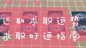 塔罗占卜工作 未来一个月能找到工作机会或额外收入吗 来看看吧 哔哩哔哩 つロ干杯 Bilibili
