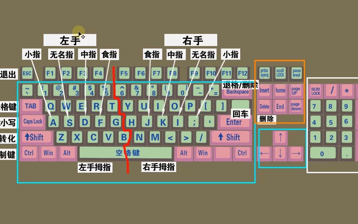 零基础快速学拼音学五笔打字教程,键盘打字快速入门哔哩哔哩bilibili