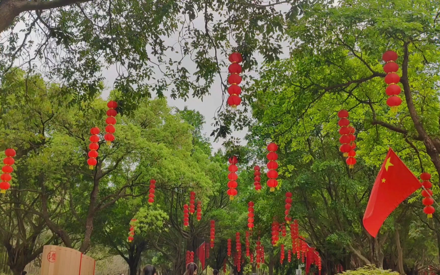 大夫山森林公园:隐藏在城市中的天然氧吧!