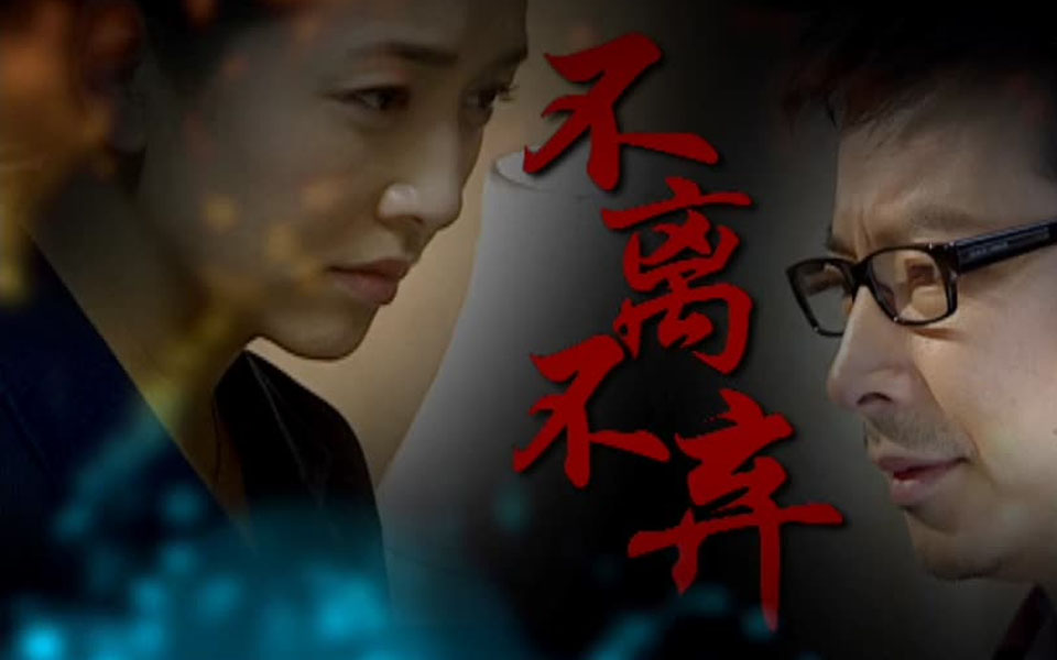 不离不弃第22集-电视剧-全集-高清正版在线观看-bilibili-哔哩哔哩