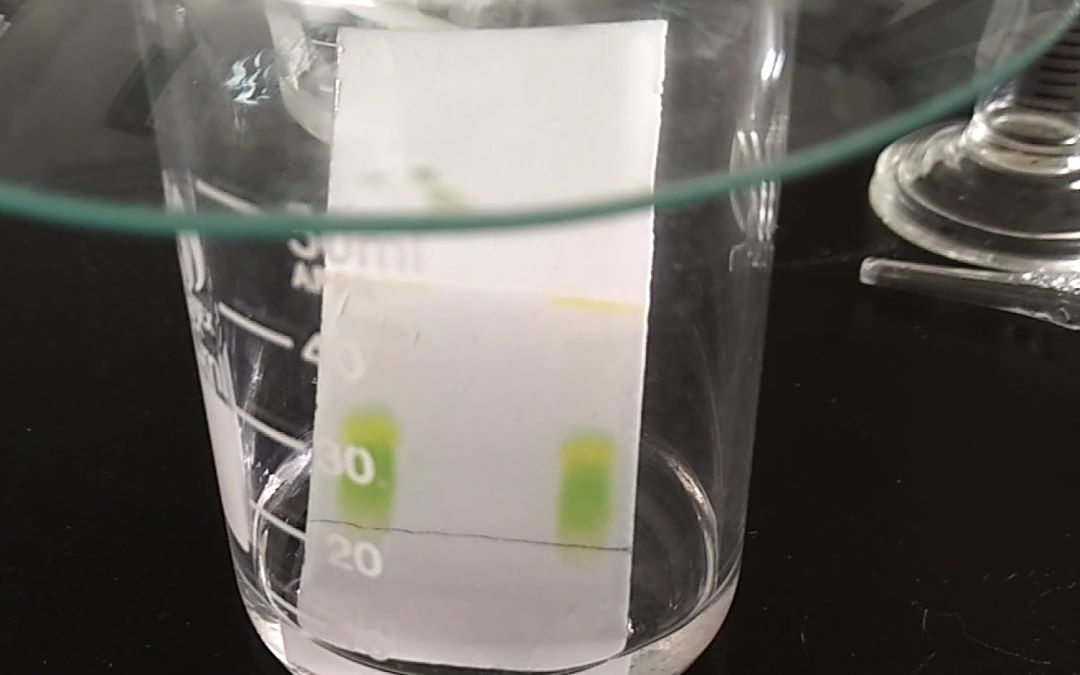 有机实验薄层色谱