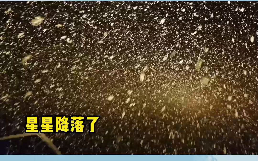 [图]真的有被海上的大雪震撼到，好像无数星星坠落了！