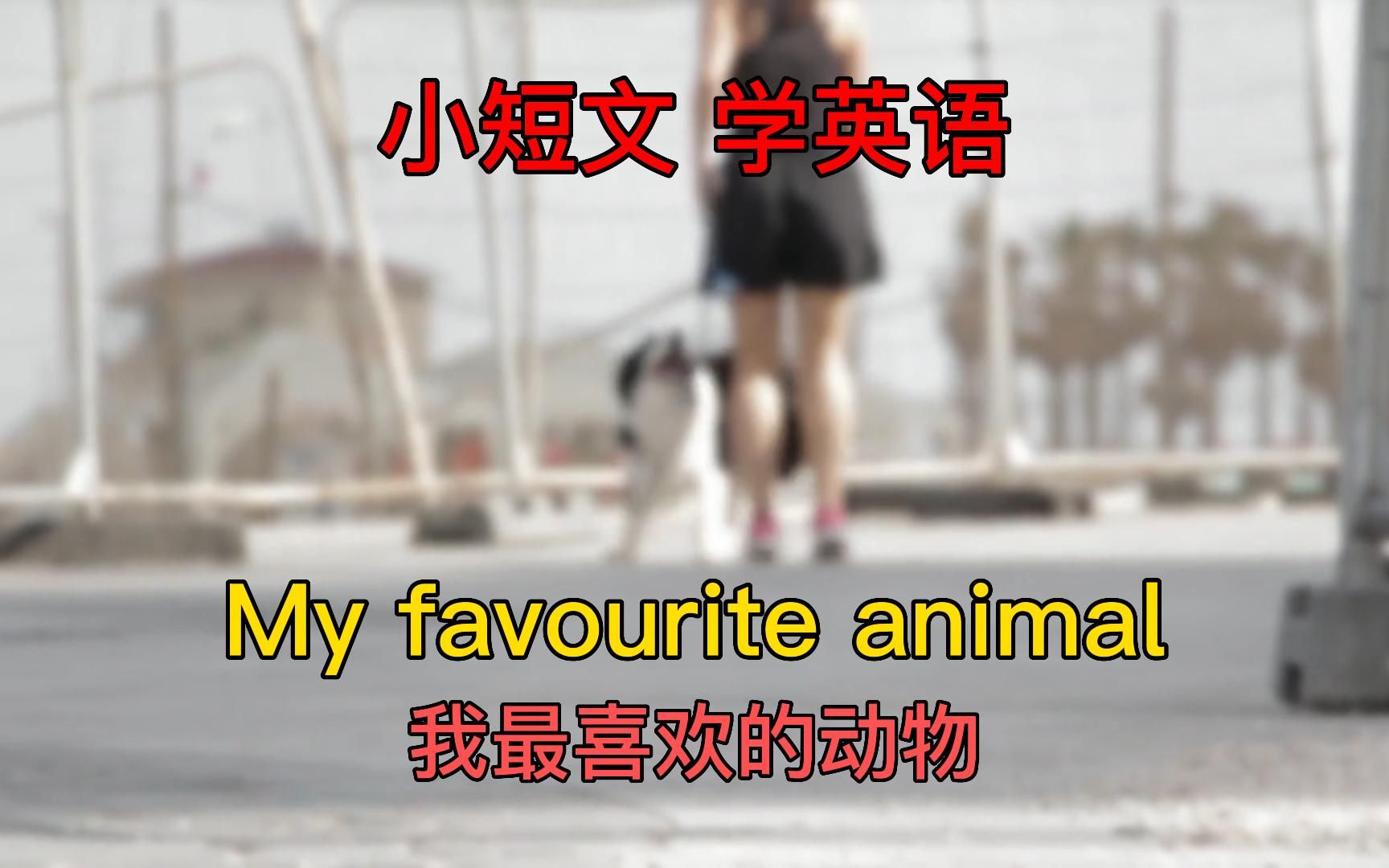 [图]My favourite animal 我最喜爱的动物 学英语就看小短文