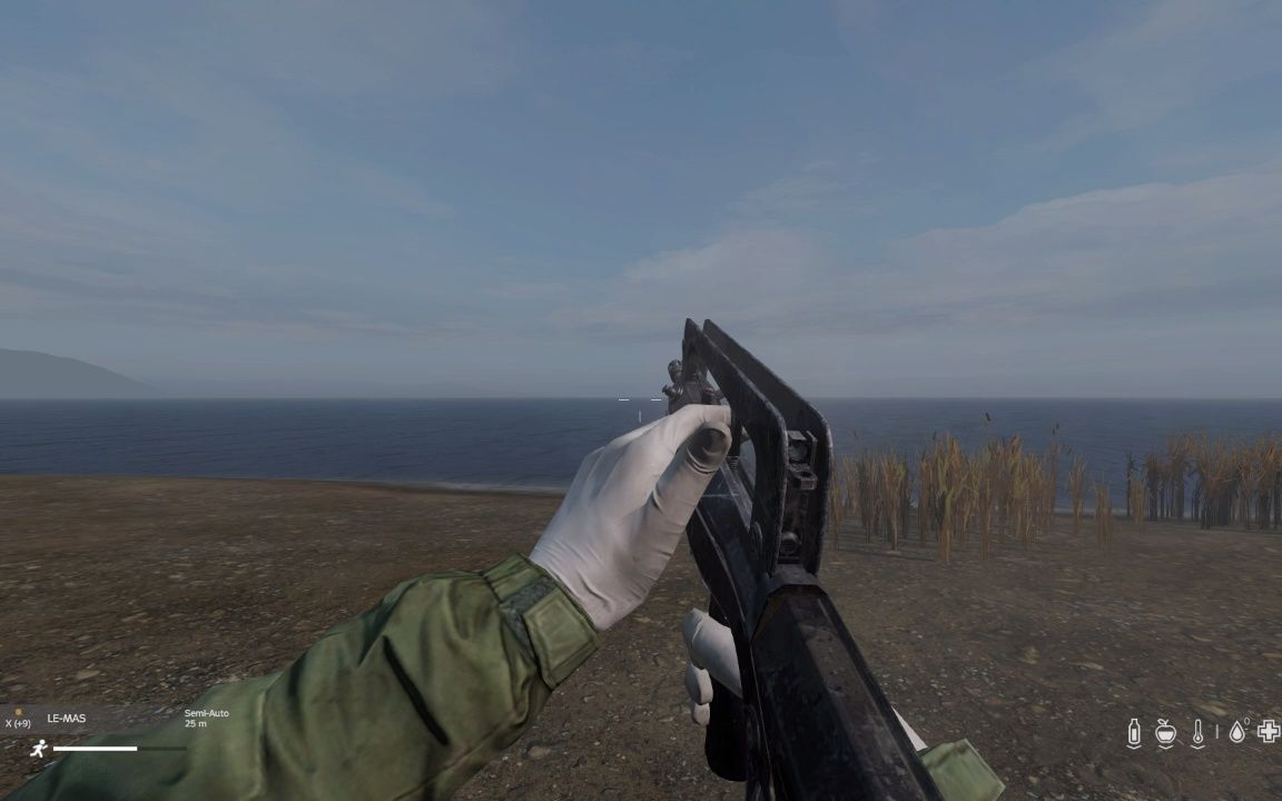 dayz武器 裝填 卡殼 famas(1.15重置)