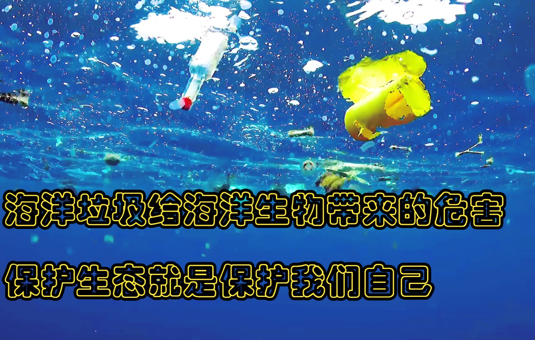 海洋垃圾给海洋生物带来的危害,保护生态就是保护我们自己_哔哩哔哩