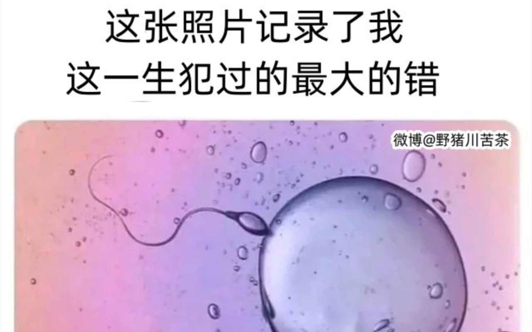 这张图片记录了我这一生干过的最大的错误……哔哩哔哩bilibili