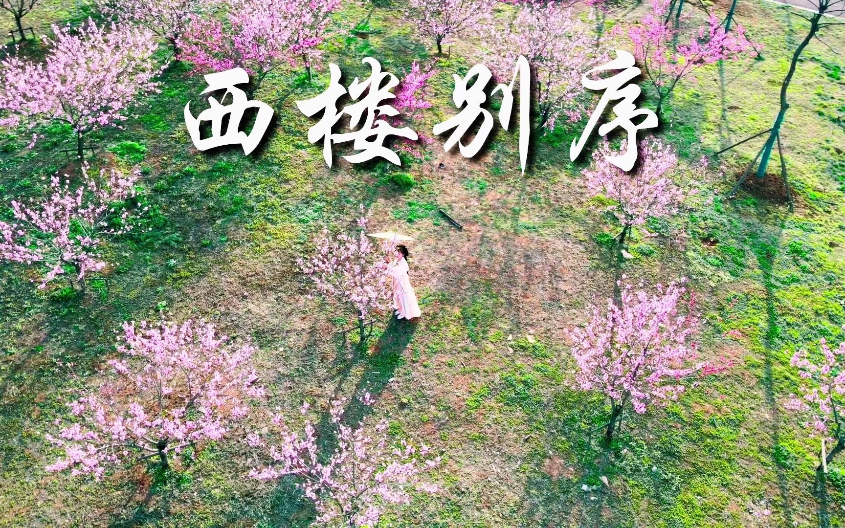 《西楼别序》原创唯美古风mv
