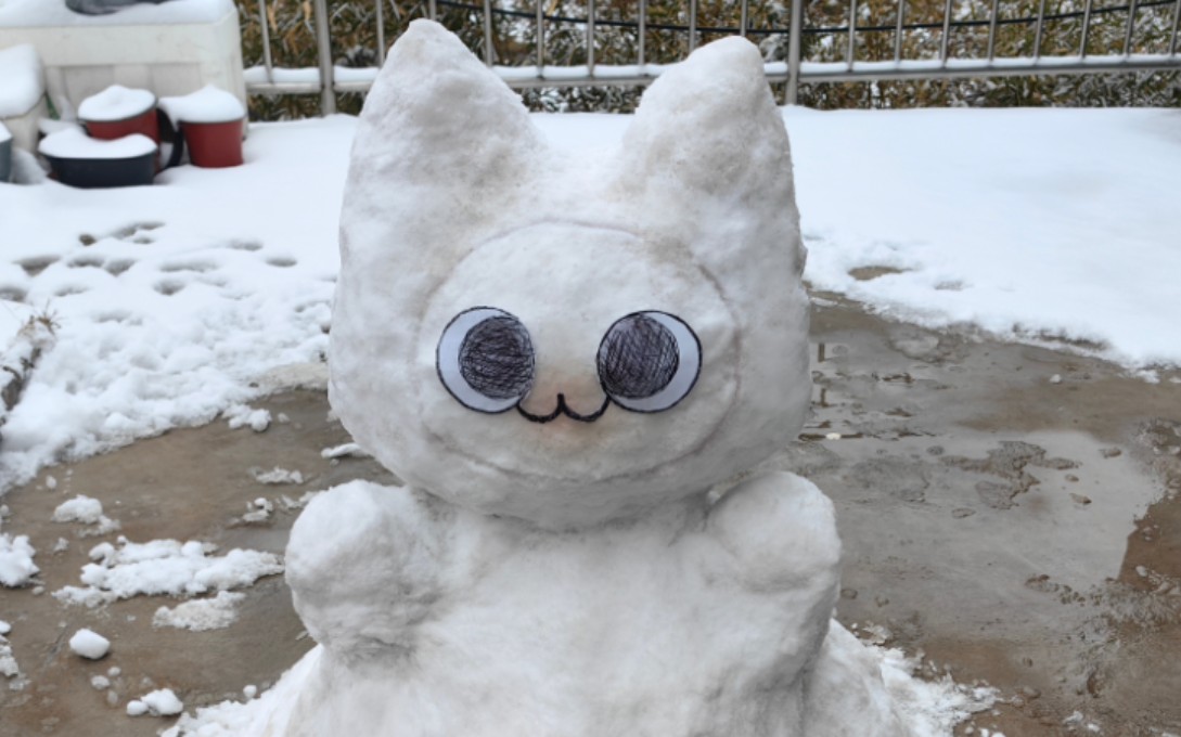 老大我去讨伐冰呪龙回来了喵