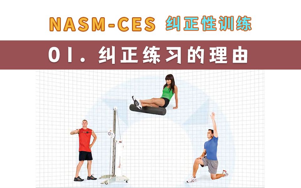 【NASMCES】5. 带后胫骨激活提示哔哩哔哩bilibili