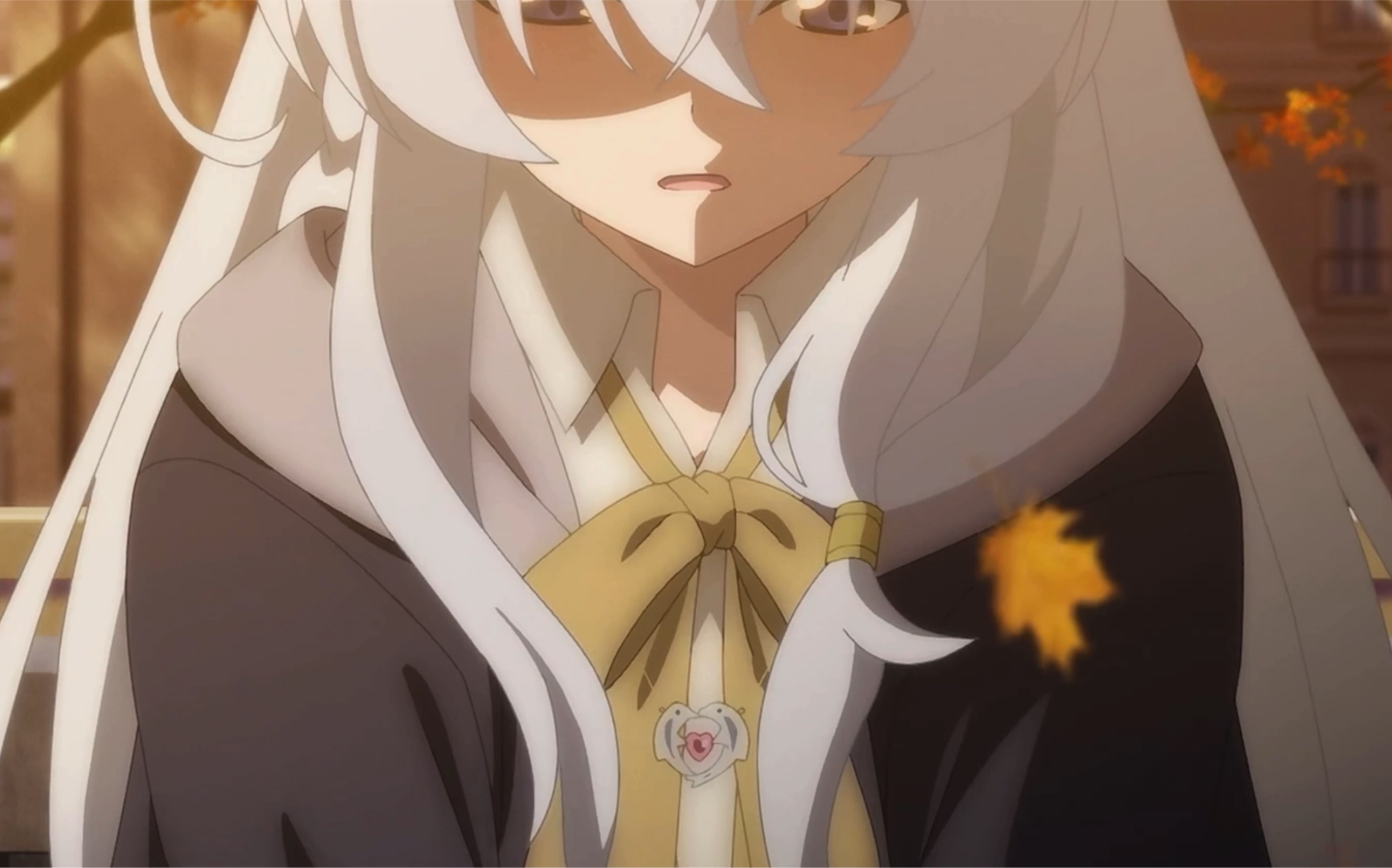 伊蕾娜心疼起来