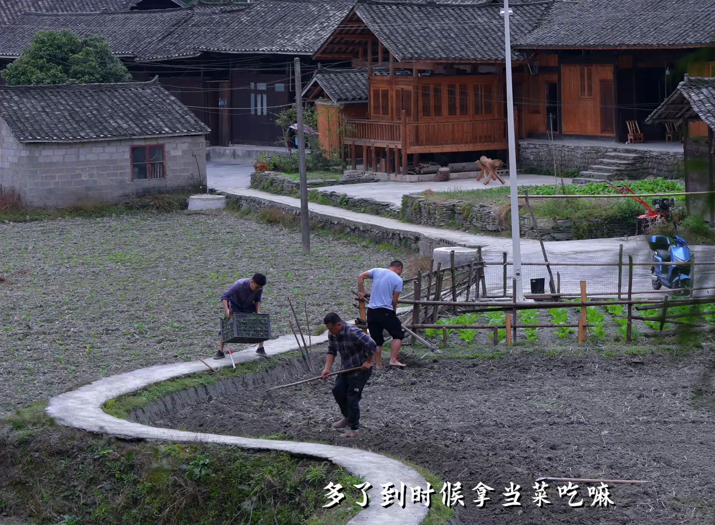 三季匆匆而过,油菜又一次完成了它的世界之旅,而我们无形中也离升华更近一步哔哩哔哩bilibili