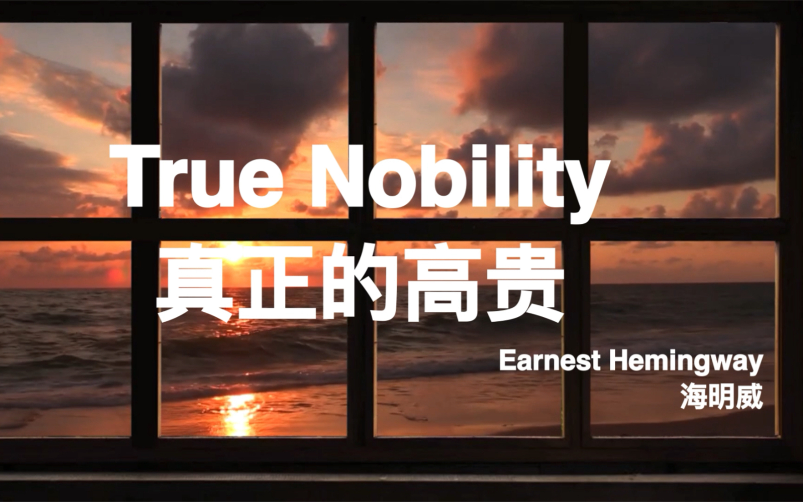 True Nobility真正的高贵哔哩哔哩bilibili